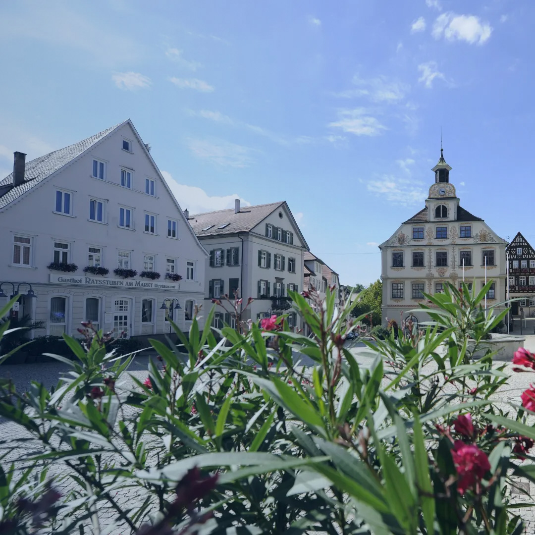 Stadt Vaihingen
